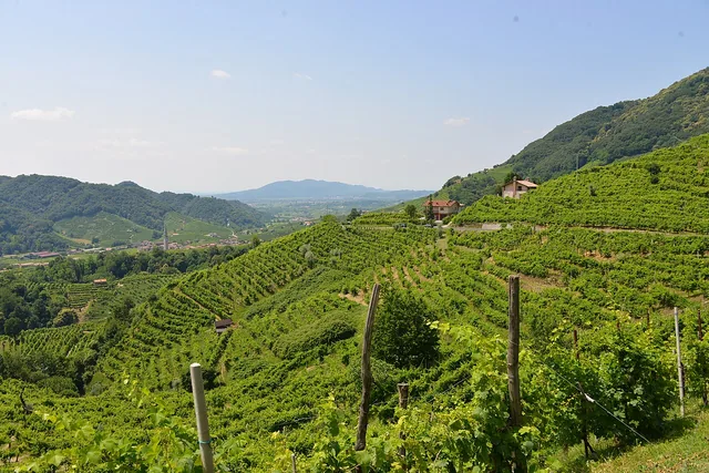 Colline del Prosecco